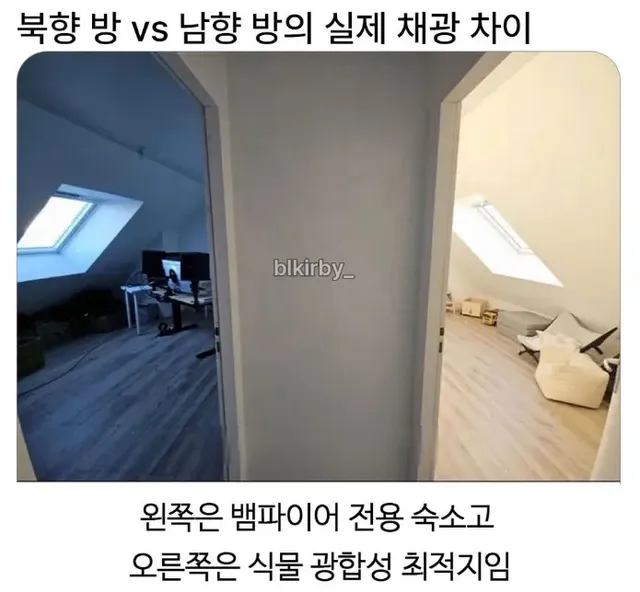 btadd0e0707ef61fc320a45cbffd93d4b2