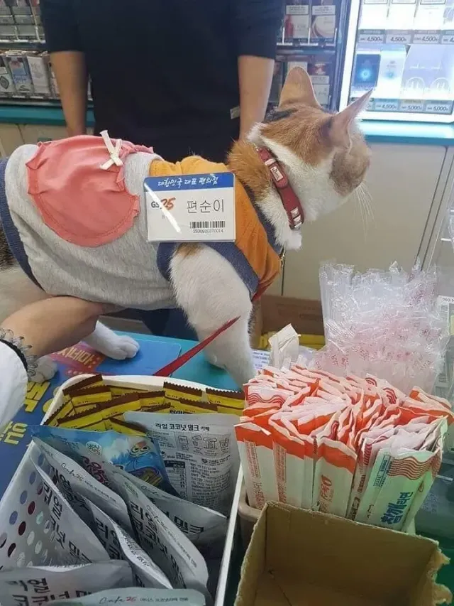 편의점에서 편순이 배 만졌다.jpg