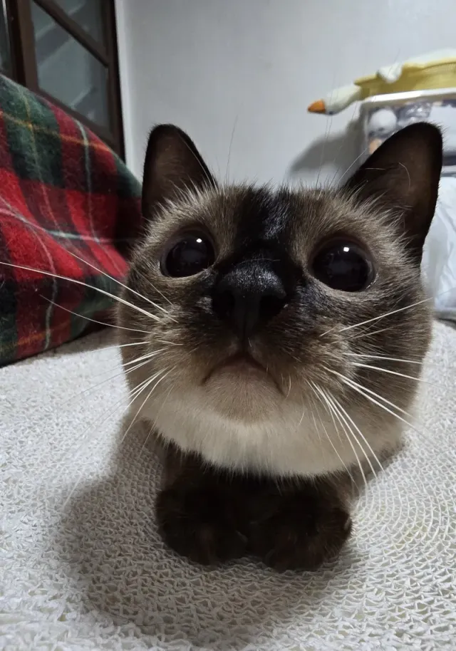 bt9f1e4f9abf5b6c84038d847e938ffdfc