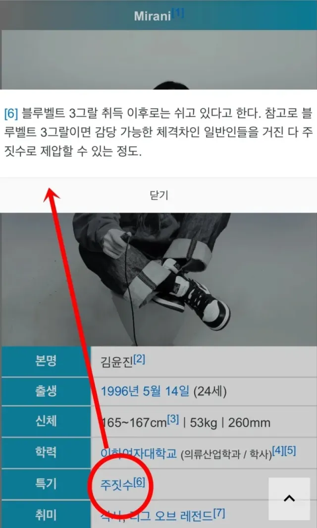 나무위키에 나타난 신종 빌런