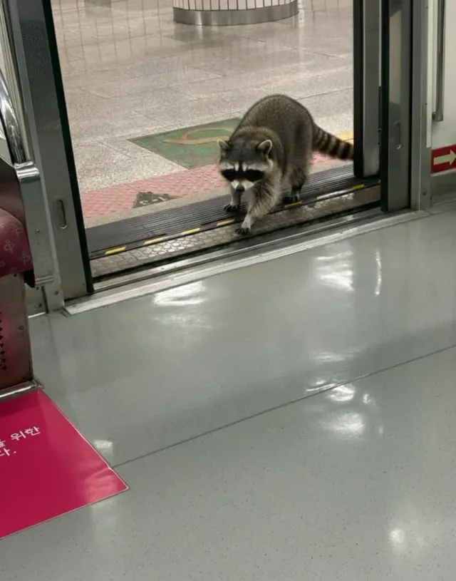 실시간 서울 지하철 근황 ㄷㄷ