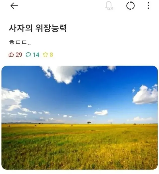 사자의 놀라운 위장능력 ㄷㄷ