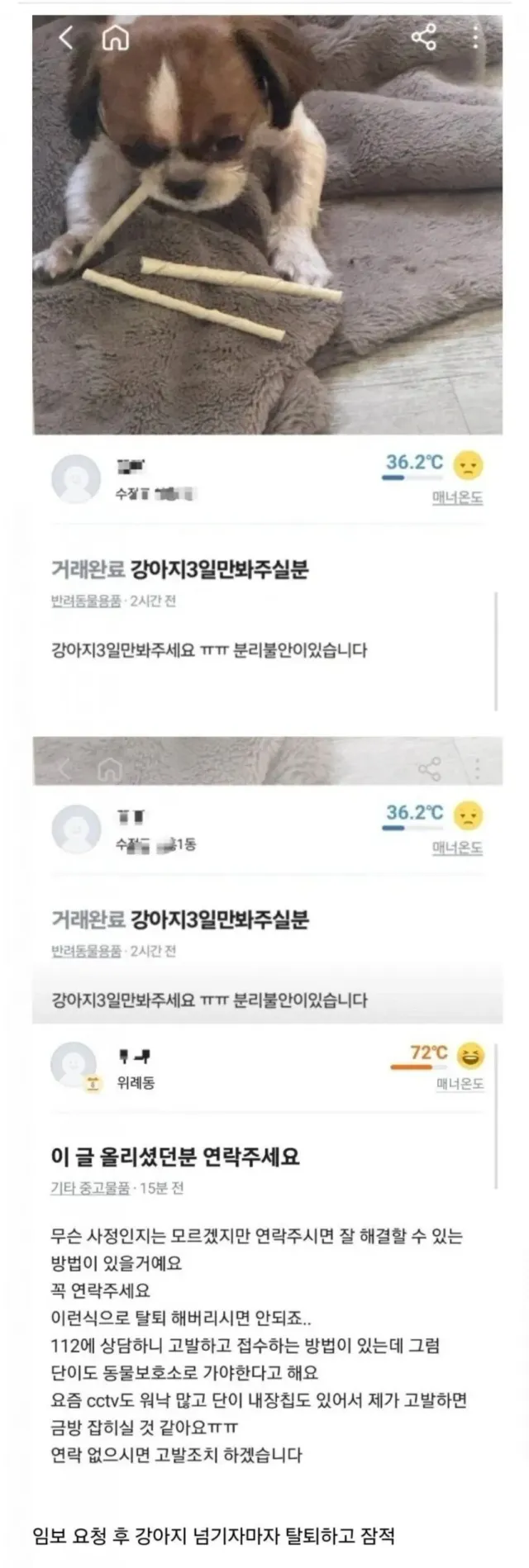 당근 반려견 레전드
