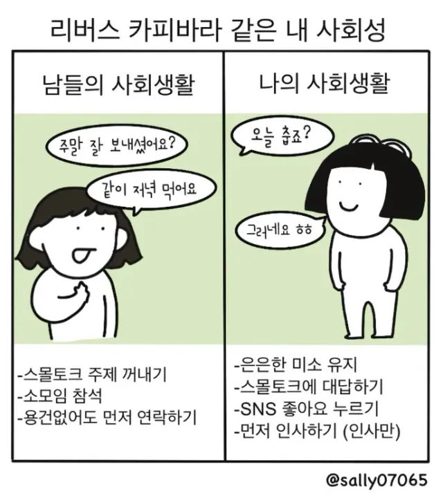 bt81385228028badaa594693b161c47739