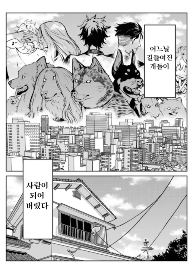 bt5a7026715e8e5cd23a3323c03c47b864