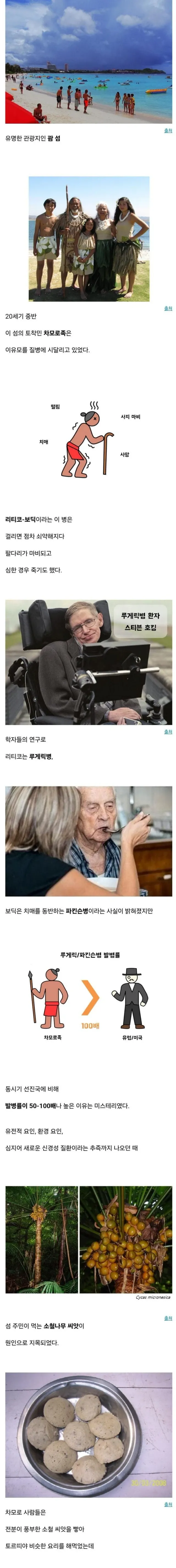 태평양 한 섬의 비극