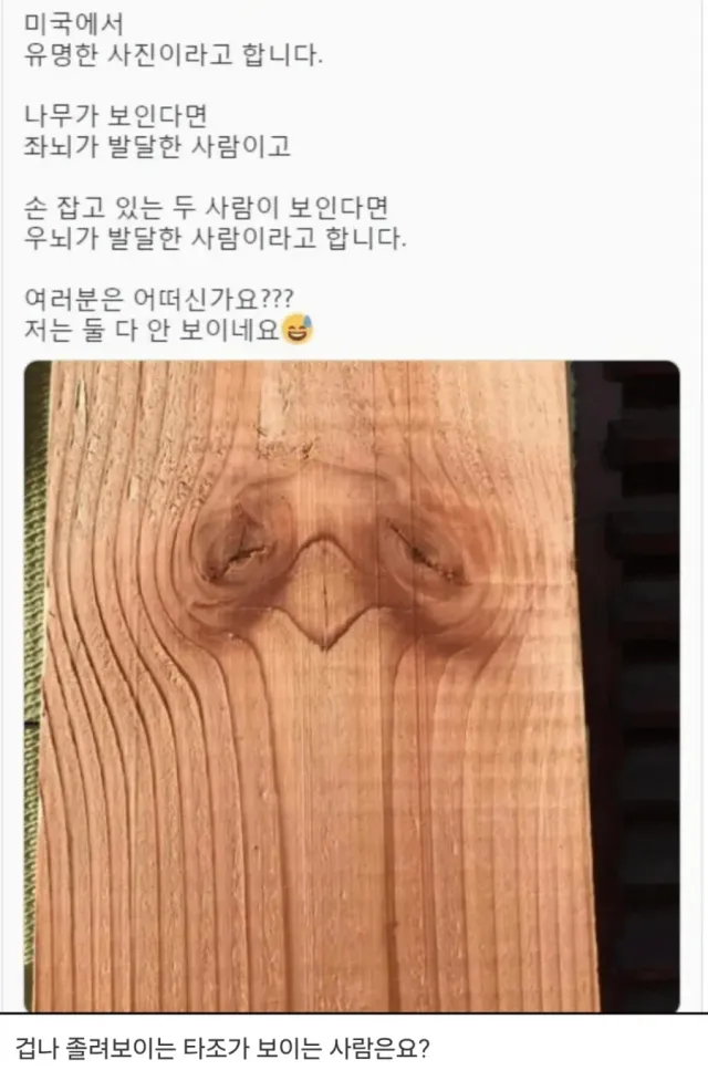 미국에서 유명하다는 사진