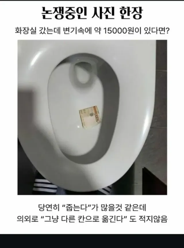논란 중인 사진 한장