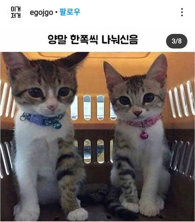 bt1cc60c5467cdaf558e5a8285b350ac55.png