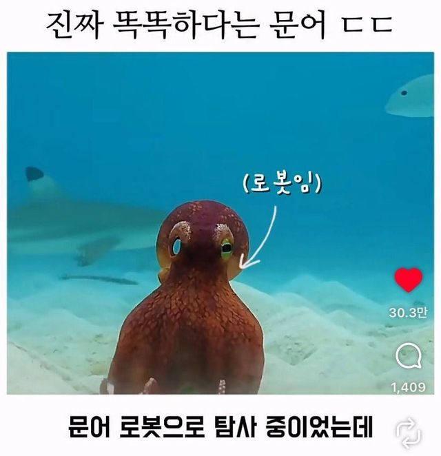 btbbae4418246fdd27349874626e9ddb83.jpeg