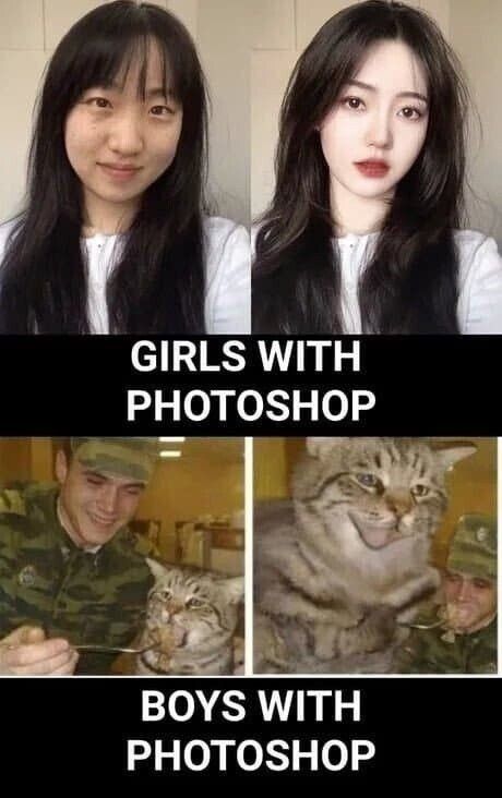 btbe7df36f3e04f0fb37cbba95eb6e241f.jpeg