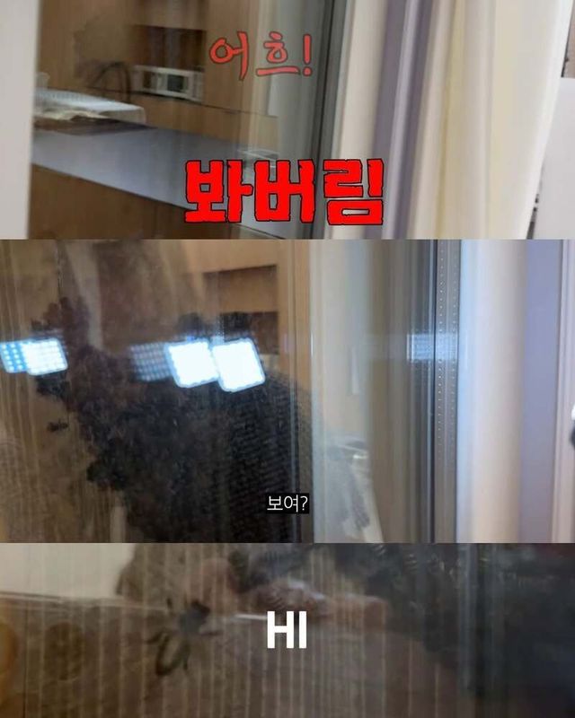 bt2914056c176dd8113864cc8c5775aef9.jpg