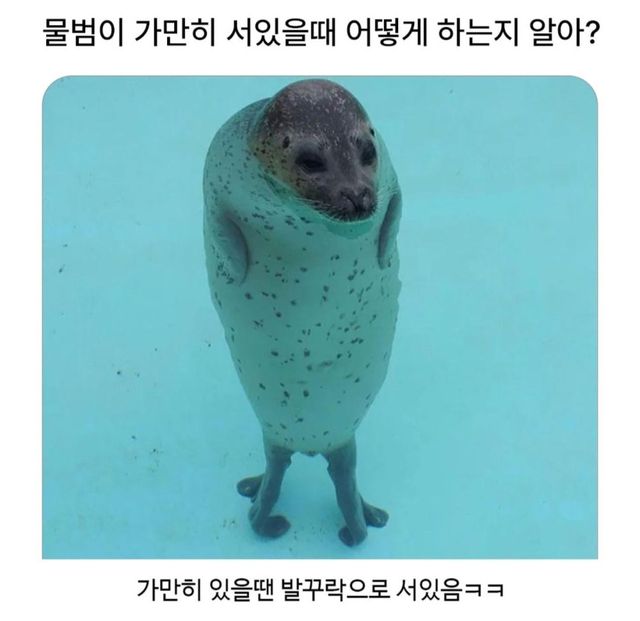 bt4e79c44394b39cb12d8b877a8325edb3.jpeg