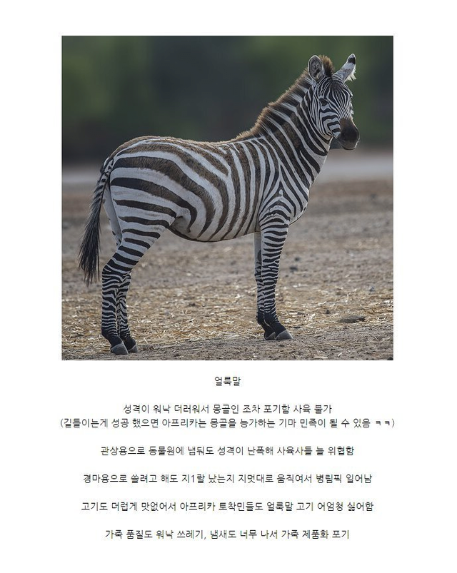 bt527fdc81d438566e3ccf295d5f45f13b.png