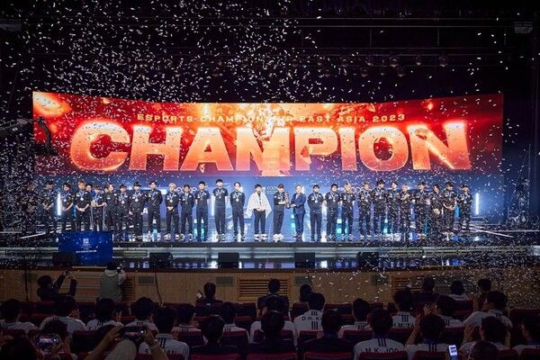 제공=한국e스포츠협회