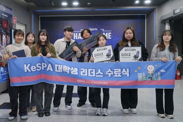 (제공=한국e스포츠협회)