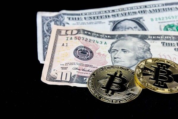 사진=foto.wuestenigel