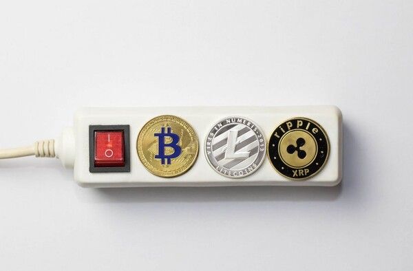 사진=foto.wuestenigel