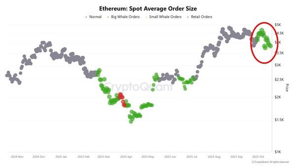 이더리움&nbsp;보유량에&nbsp;따라&nbsp;색깔&nbsp;별로&nbsp;구분한&nbsp;샘플&nbsp;클러스터(덩어리)에서&nbsp;큰손&nbsp;투자자들의&nbsp;주문이&nbsp;확연히&nbsp;확대되고&nbsp;있다(사진=크립토퀀트)