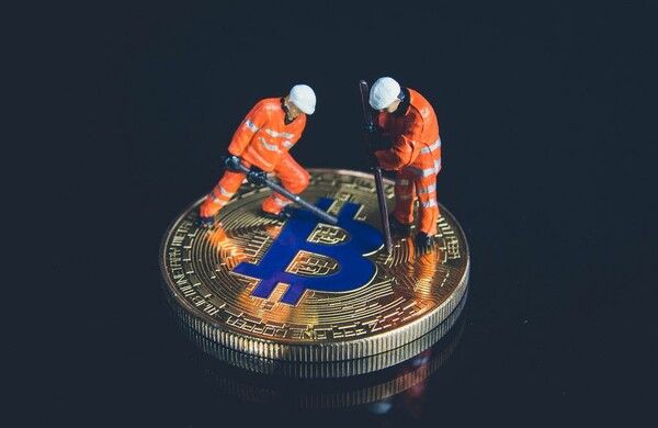 사진=foto.wuestenigel