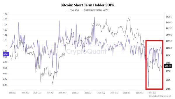 올해 12월 비트코인 단기 투자자의 ‘보유기간 대비 수익률(보라색 선)’이 수주 동안 1 이하를 머물고 있다(사진=크립토퀀트)