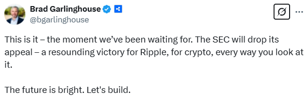 브래드 갈링하우스 리플랩스 최고경영자는 현지시간으로 지난 3월 19일 사회관계망서비스를 통해 자사에 대한 미국 증권거래위원회의 법 집행 조치가 마무리될 예정이라고 밝혔다(사진=트위터/ 브래드 갈링하우스)