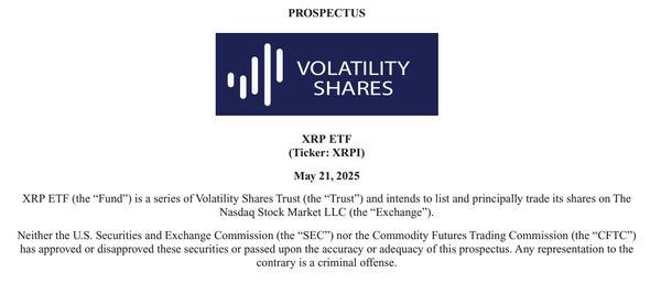 ‘엑스알피아이’ 투자 설명서(사진=볼러틸러티 쉐어스)