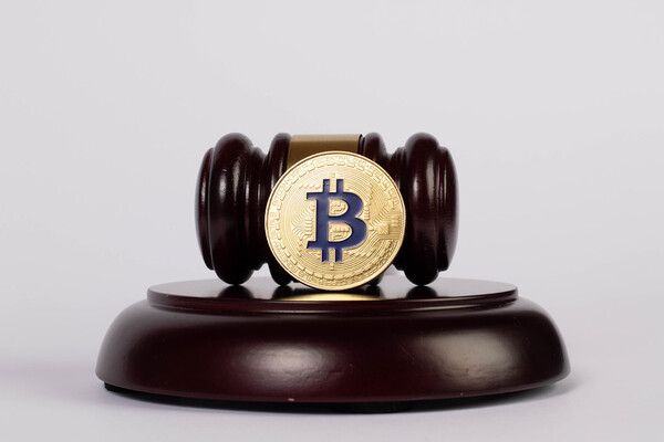 사진=foto.wuestenigel