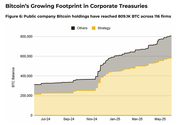 지난 2024년 6월 이후 글로벌 상장 기업의 비트코인 보유량 변화 추이(사진=바이낸스)