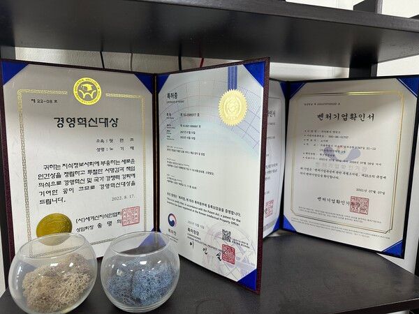 (핏펀즈 특허와 수상 내용. 일본에도 출원됐다. 사진=경향게임스)