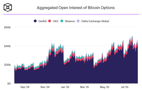 지난 2024년 8월 이후 비트코인 미결제약정 변화 추이(사진=더블록)