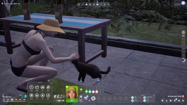 ▲DLC의 알파이자 오메가인 고양이