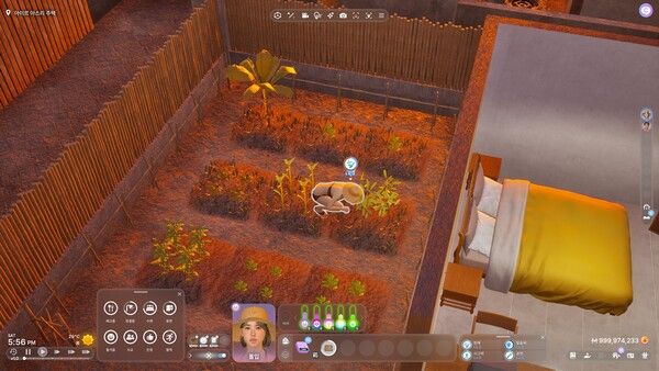 ▲농산물을 어렵지 않게 수확할 수 있다