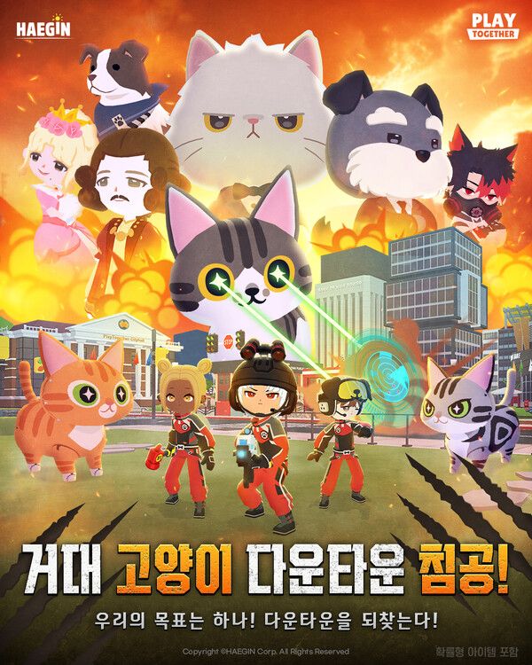 ▲사진 출처=해긴