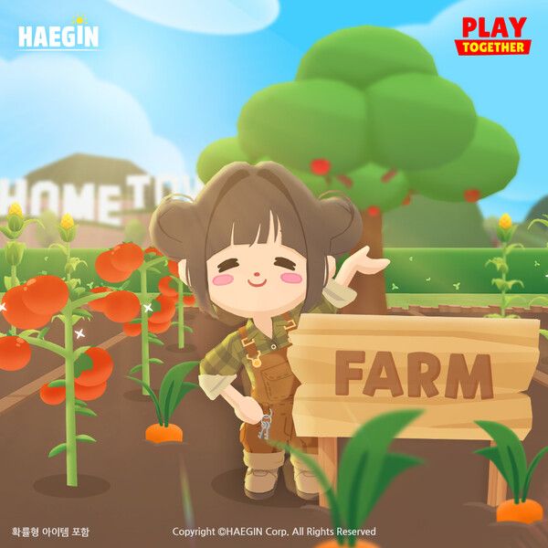 ▲사진 출처=해긴