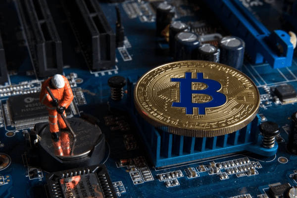 사진=foto.wuestenigel