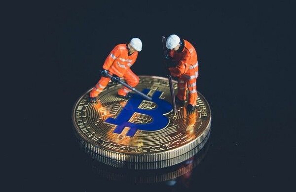 사진=foto.wuestenigel