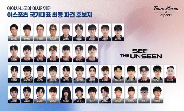 제공=한국e스포츠협회
