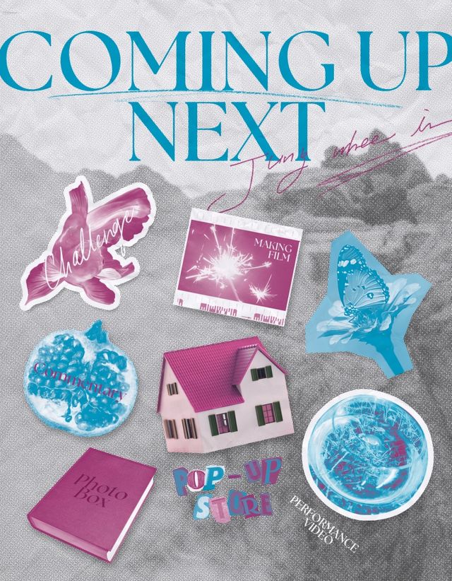 사진=더라이브 제공