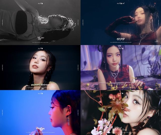 사진=BRD엔터테인먼트 제공