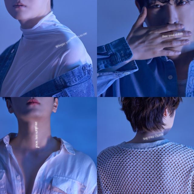 사진=비트인터렉티브 제공