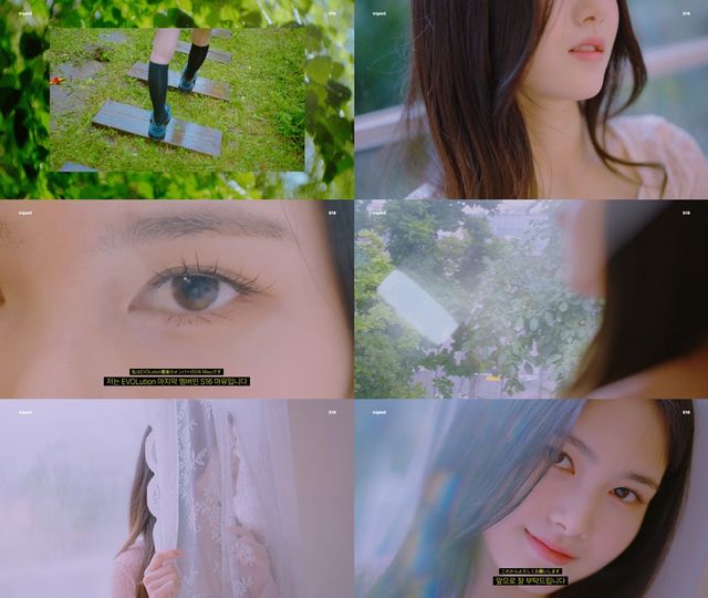 사진=모드하우스 제공