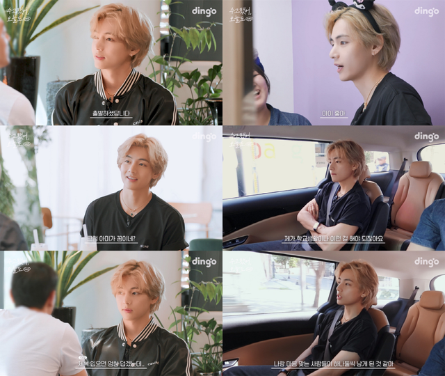 사진=딩고 제공