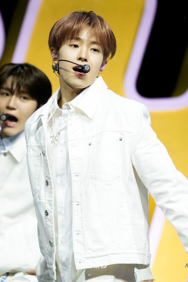 사진=비하인드DB