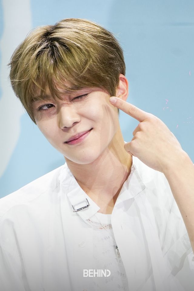 사진=비하인드DB