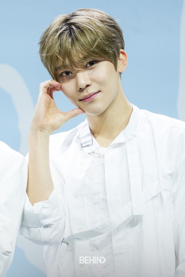 사진=비하인드DB