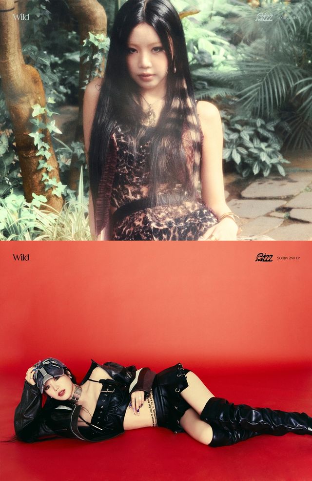 사진=BRD엔터테인먼트 제공