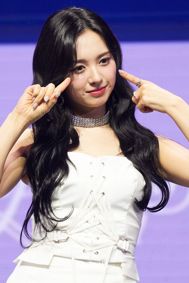 사진=비하인드DB