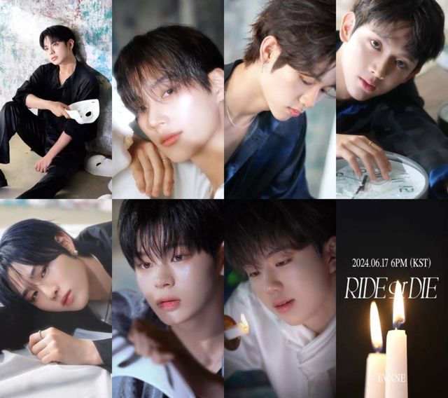 사진= 젤리피쉬 제공