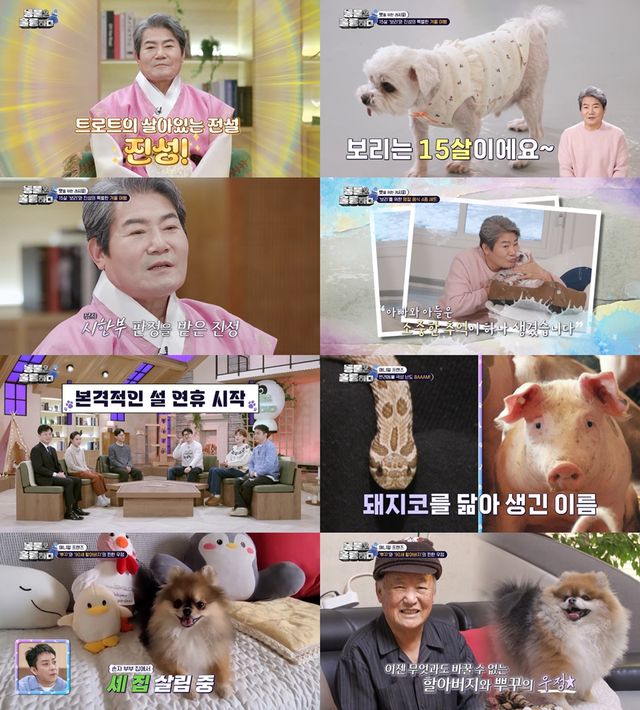 사진 KBS2 '동물은 훌륭하다' 방송 캡처